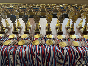 16 сентября 2023 года в г. Тула состоялось Открытое первенство ГУ ДО ТО «ОблСШОР по единоборствам»