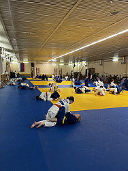 День борьбы, посвященный Дню семьи защитника отечества